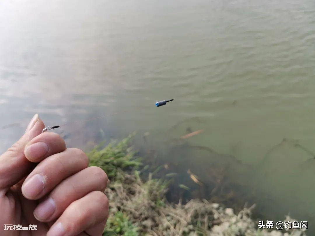 钓大鱼怎么调漂教程(夏天钓大鱼怎么调漂最简单又实用 )-图片3